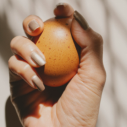 hand holding egg